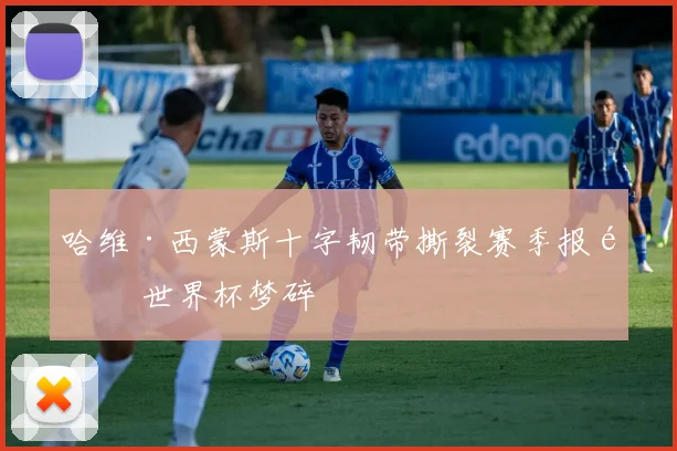 哈维·西蒙斯十字韧带撕裂赛季报销 世界杯梦碎